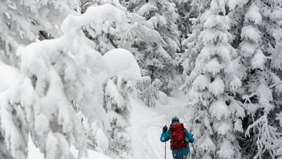 Hereinspaziert in Vronis Lodge!